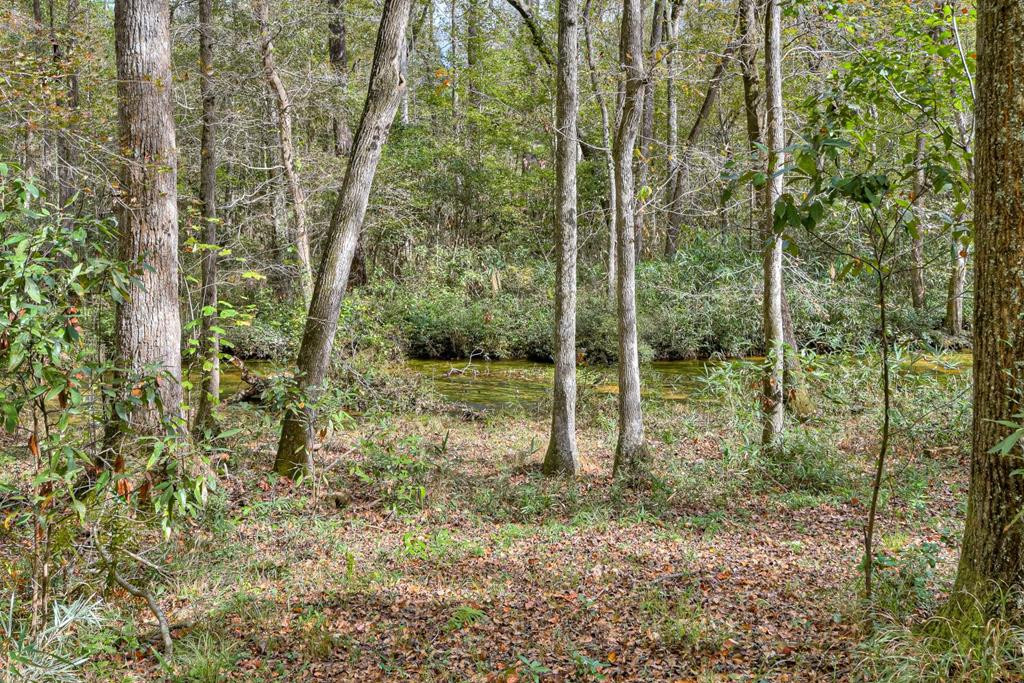 4719 Banks Mill Road Southeast Aiken, SC 29803 - Photo 44 of 45 Creek