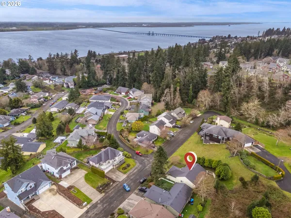 a view of a backyard with plants and large tree