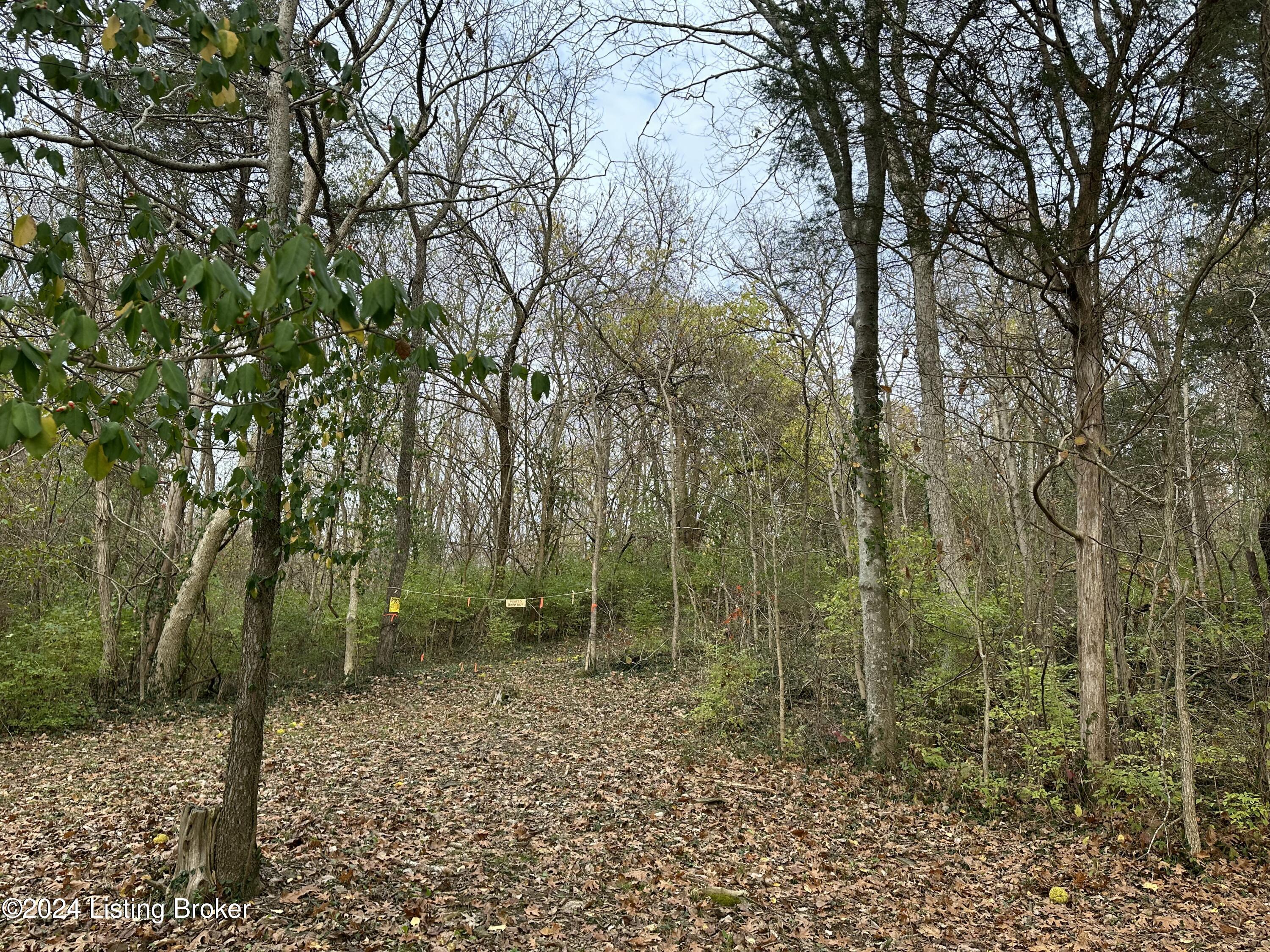 0 River Road Worthville, KY 41098 - Photo 17 of 23 River Rd