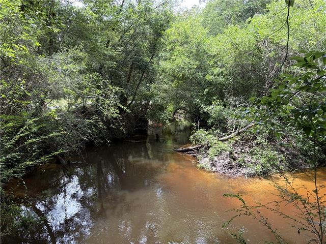 0 Thigpen Road Franklinton, LA 70438 - Photo 30 of 34