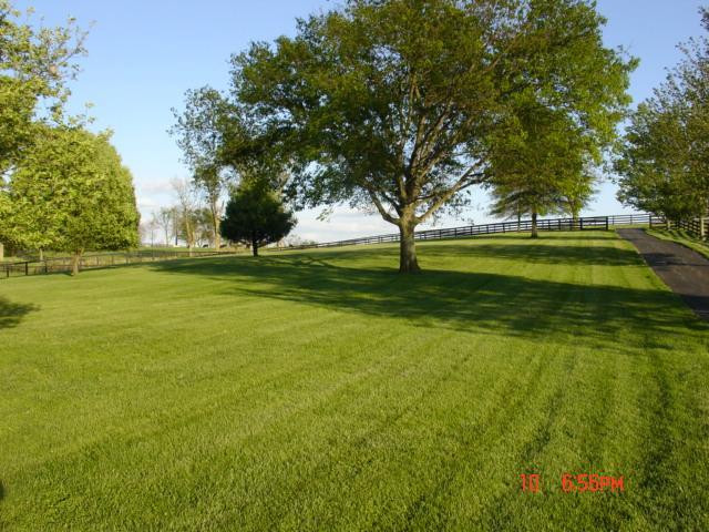 161 Stoney Point Road Paris, KY 40361 - Photo 82 of 96 Photo 85