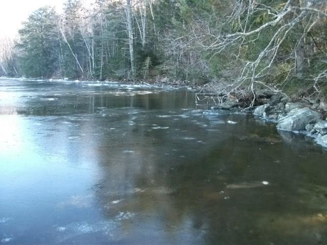 200 Newbury Neck Road Surry, ME 04684 - Photo 12 of 13 Photo