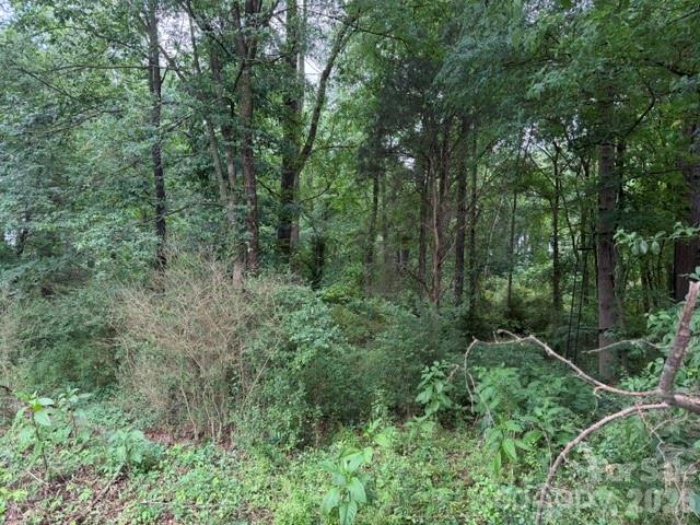 8838 Morgan Mill Road Monroe, NC 28110 - Photo 3 of 8 a view of a lush green forest