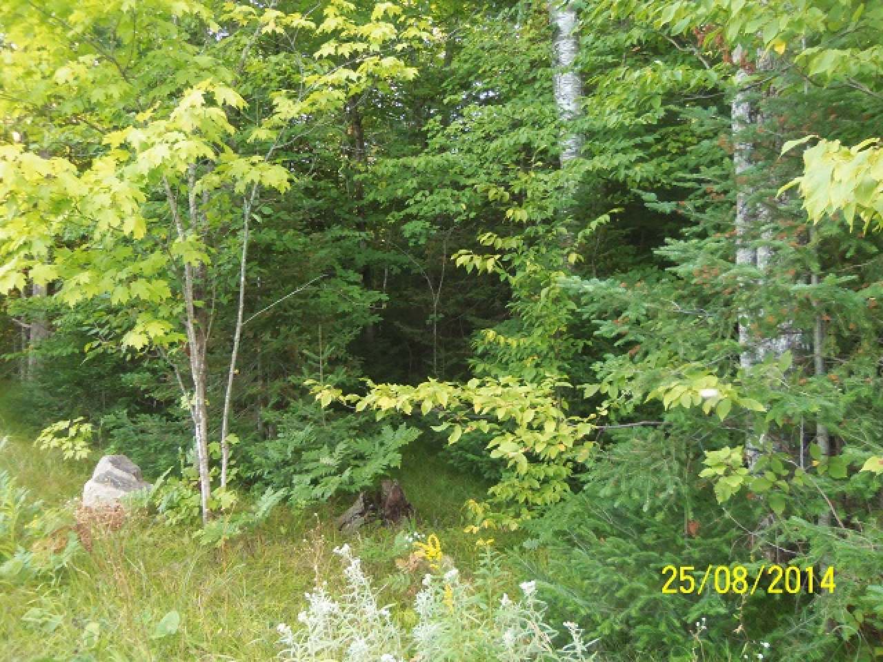 Lot 32 Nathan Pass Mercer, WI 54547 - Photo 1 of 8 Gallery Image 1