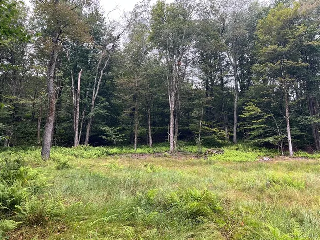 a view of a yard with large trees