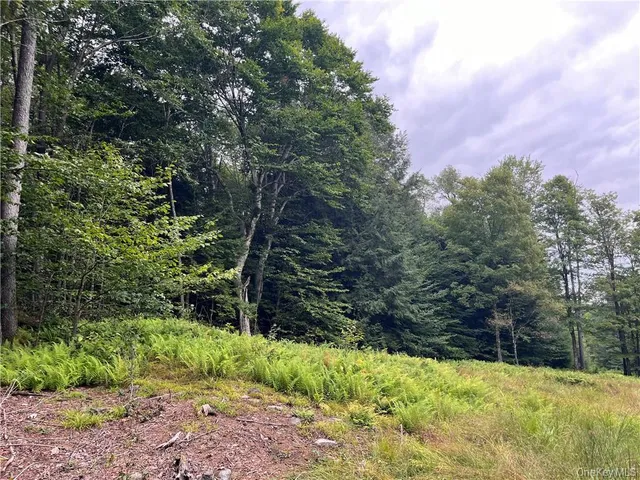 a view of a garden with plants and trees in the background