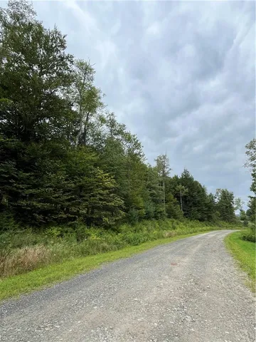 a view of a garden with a tree