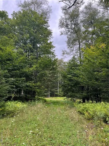 a green field with lots of trees