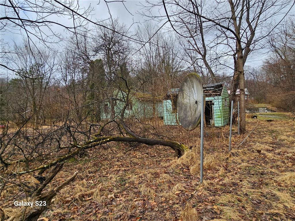 1212 Gravel Bar Road Vandergrift, PA 15690 - Photo 2 of 2 a backyard of a house with lots of green space