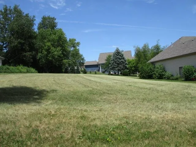 a view of a grassy field with trees in the background