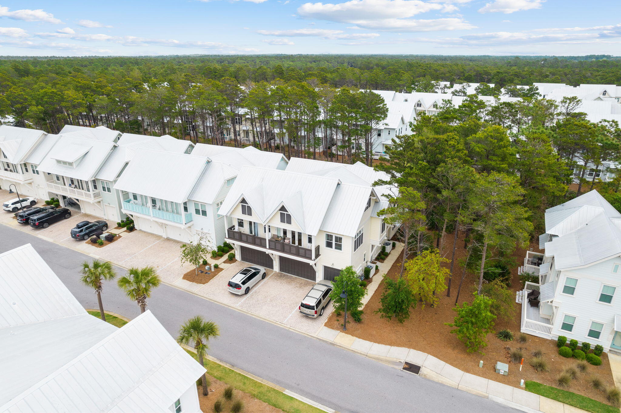 34 Pine Lands Loop Inlet Beach, Unit B Inlet Beach, FL 32461 - Photo 4 of 33 an aerial view of house with yard and ocean view