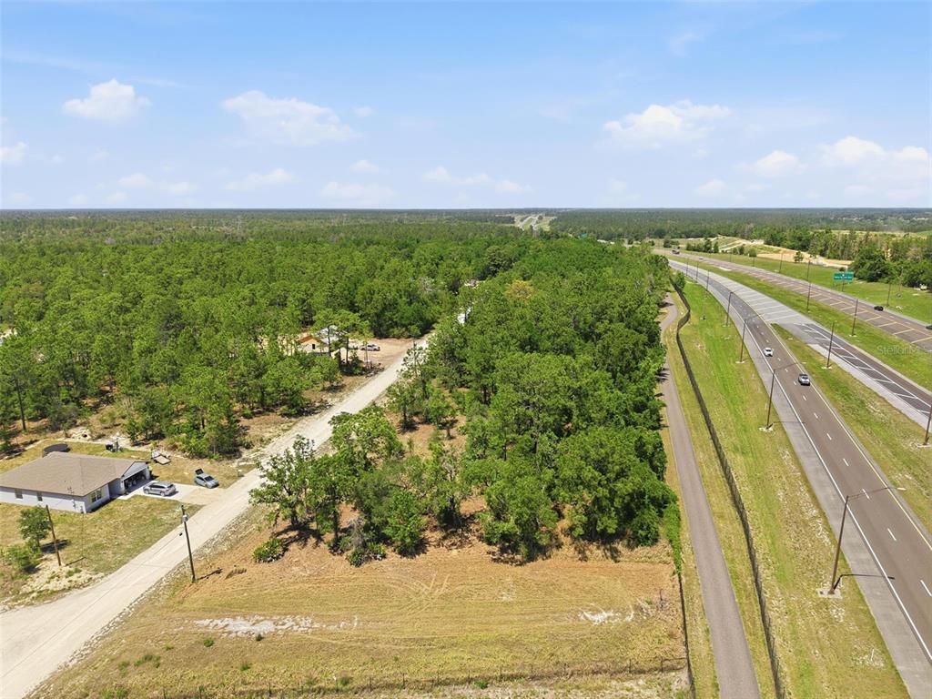 10 Cagarro Road Weeki Wachee, FL 34614 - Photo 8 of 21