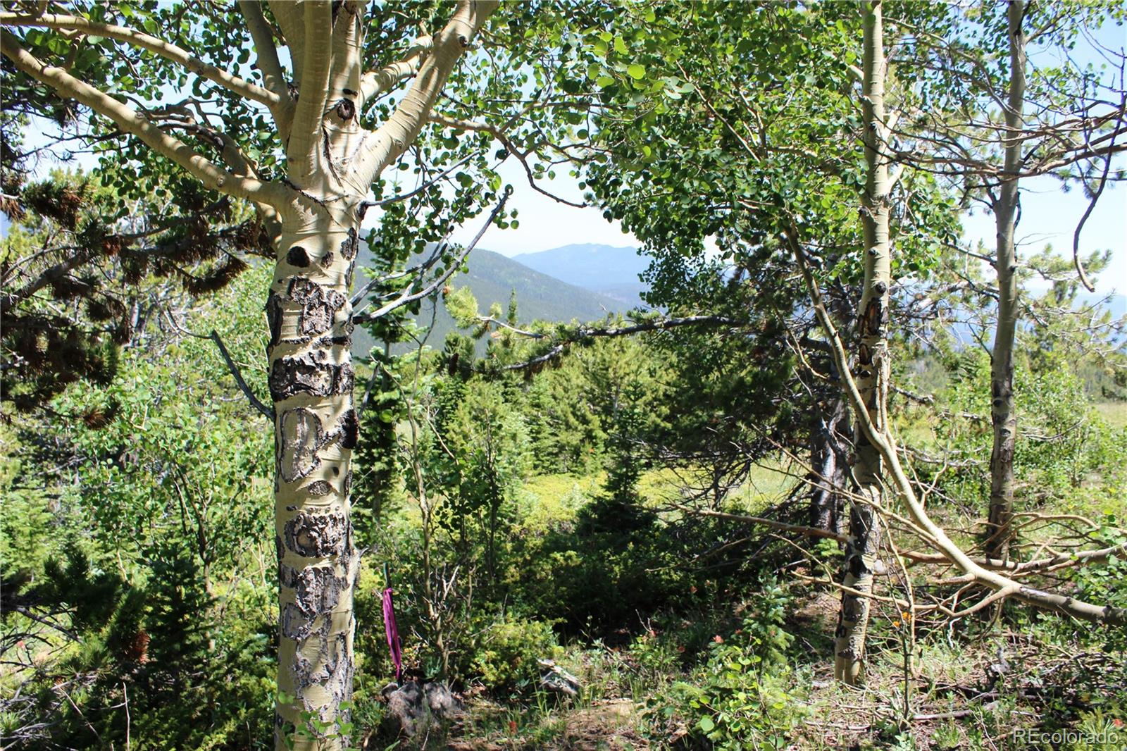 1595 Missouri Gulch Road Black Hawk, CO 80422 - Photo 22 of 49