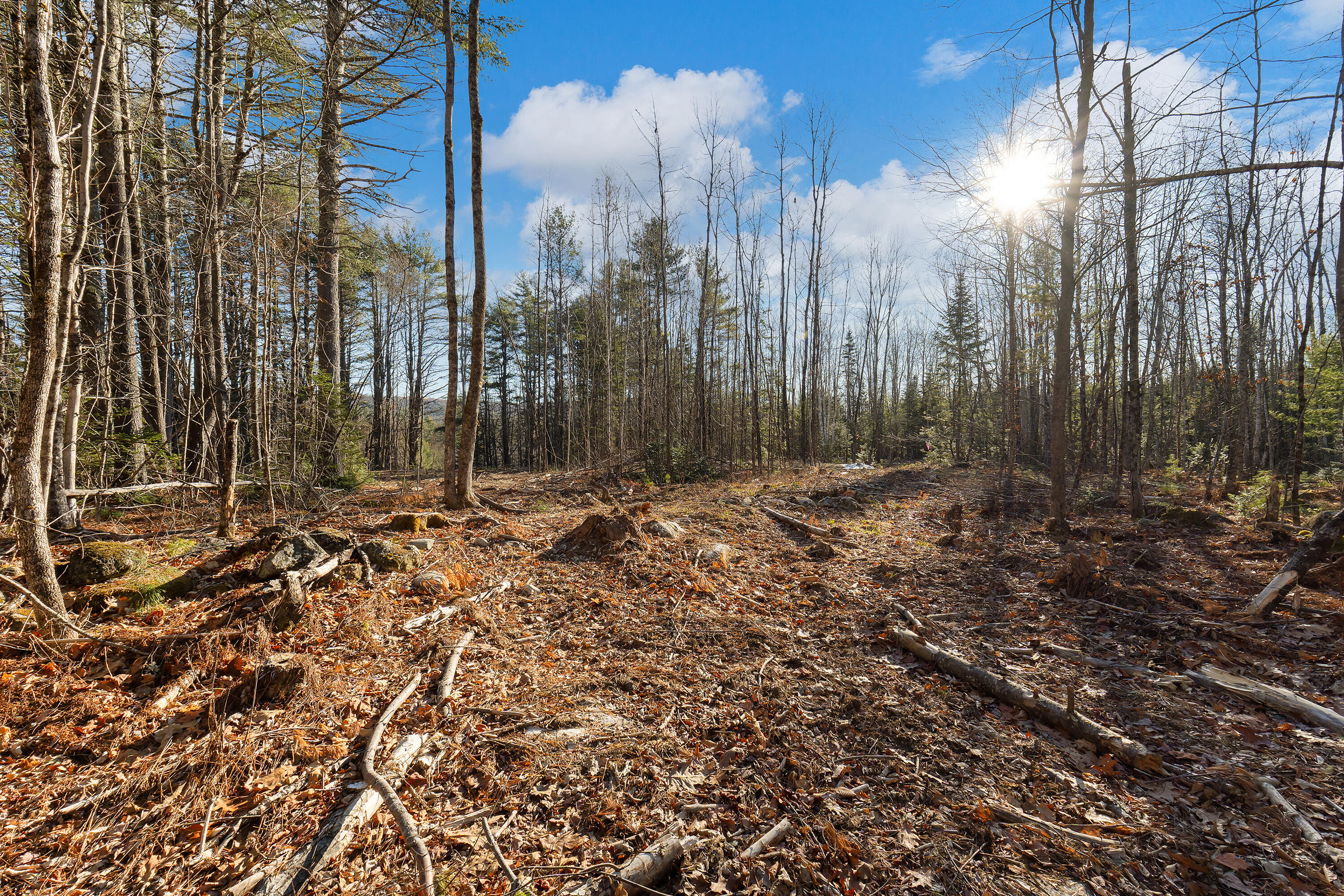 Lot 11 Pine Hill Road Monmouth, ME 04259 - Photo 6 of 15 0124 - Lot 11