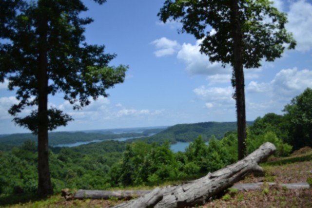 0 Rock Fish Road East Celina, TN 38551 - Photo 26 of 27