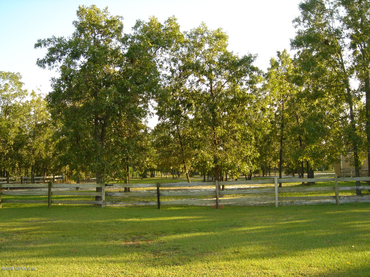 10325 Ford Road Bryceville, FL 32009 - Photo 16 of 16 Large Private Backyard