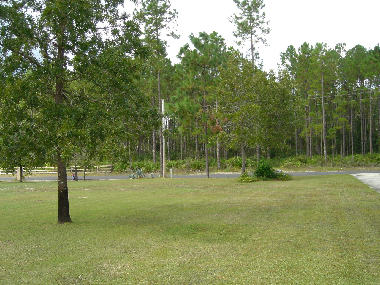 10325 Ford Road Bryceville, FL 32009 - Photo 3 of 16 Frontyard