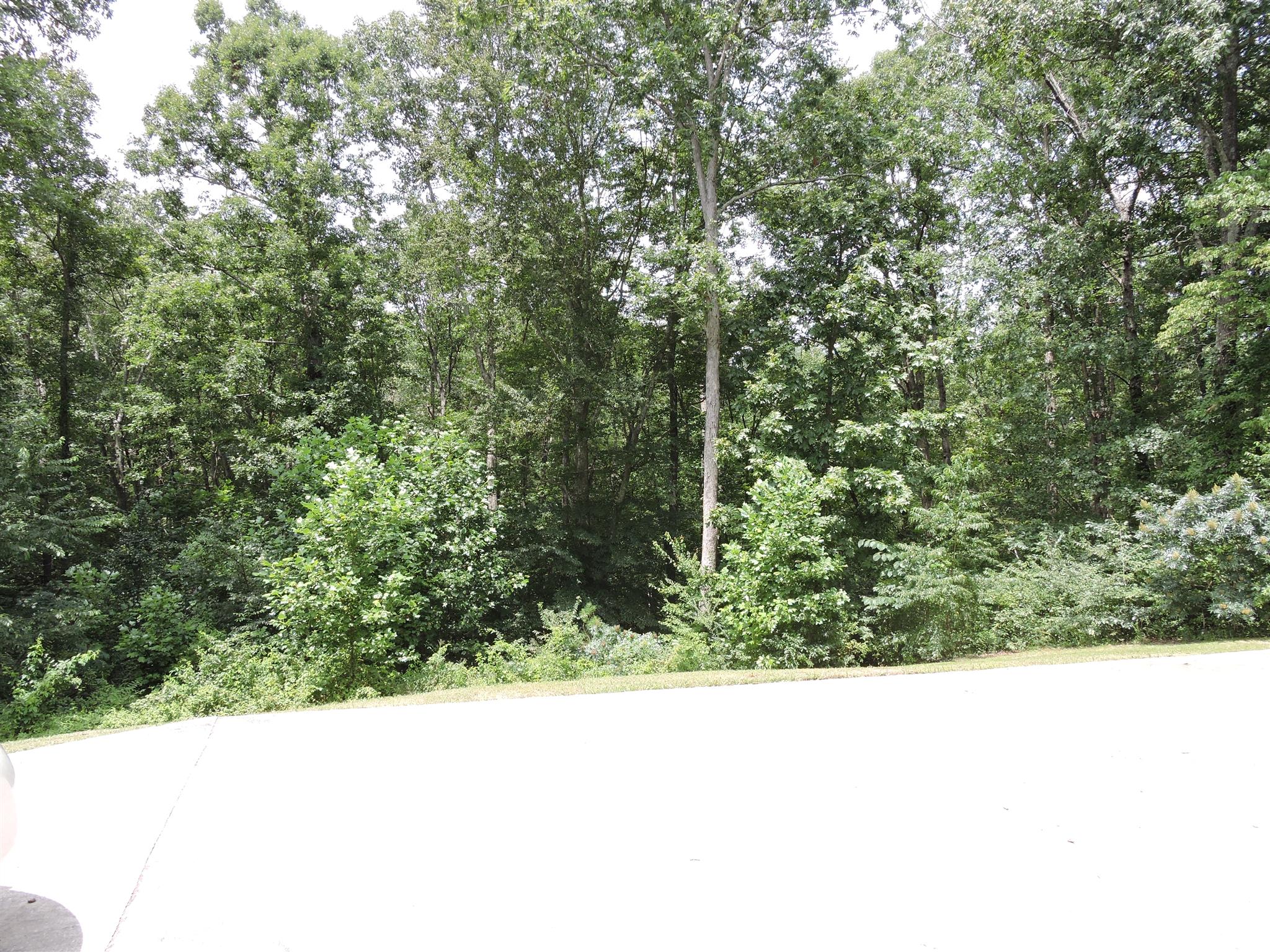 764 Toliver Lake Road Manchester, TN 37355 - Photo 4 of 5 Gallery Image 4