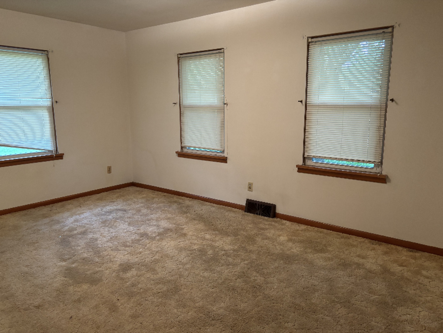 1010 Elliott Street Streator, IL 61364 - Photo 14 of 20