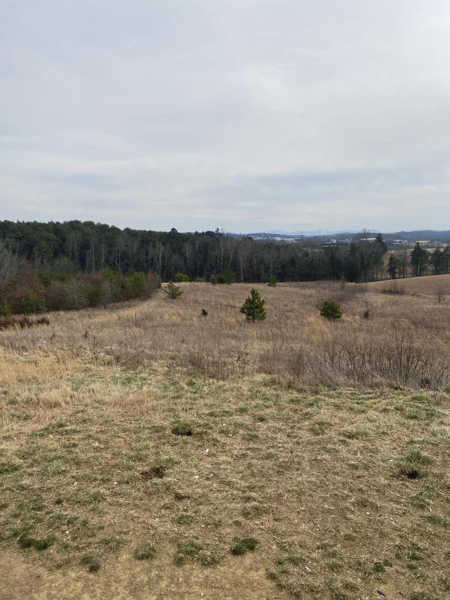 228 Turner Hill Road Mosheim, TN 37818 - Photo 14 of 15 IMG_4264