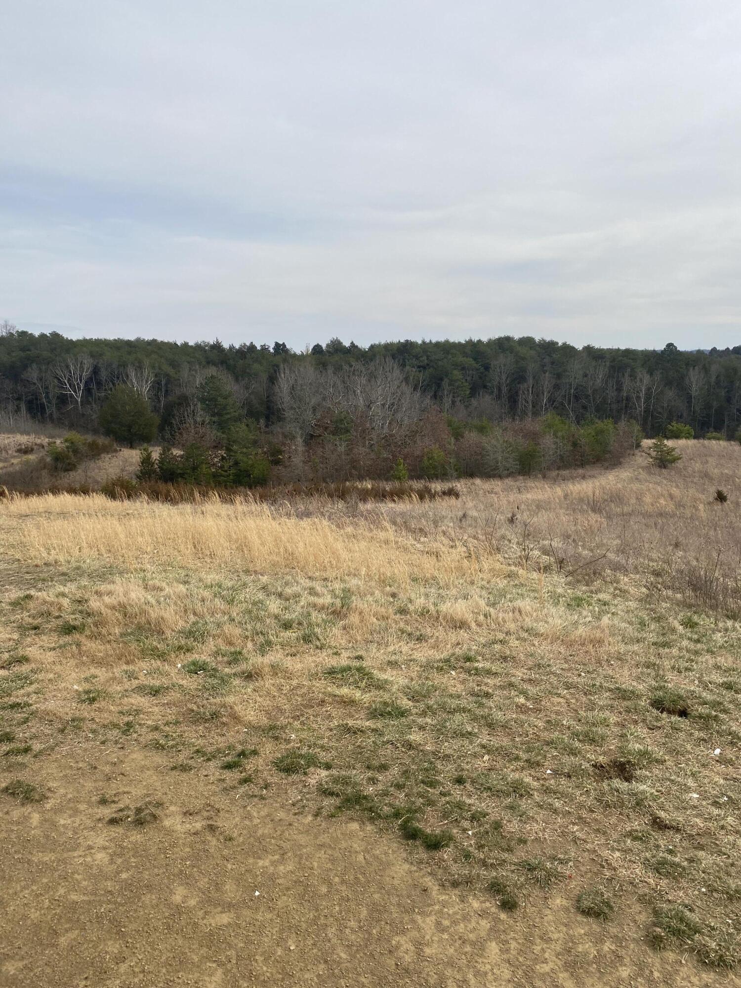 228 Turner Hill Road Mosheim, TN 37818 - Photo 15 of 15 IMG_4266
