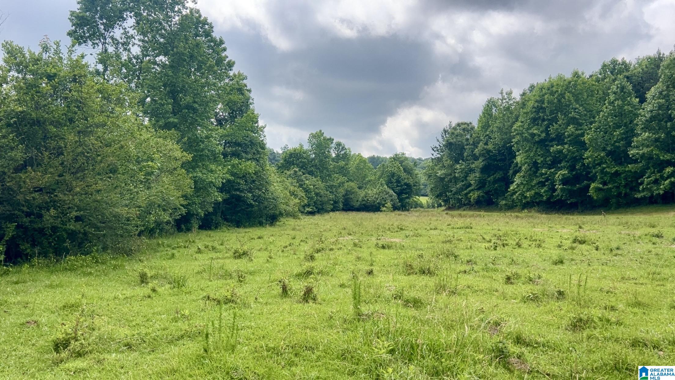 988 Mines Road, Unit 100 Ashland, AL 36251 - Photo 12 of 17