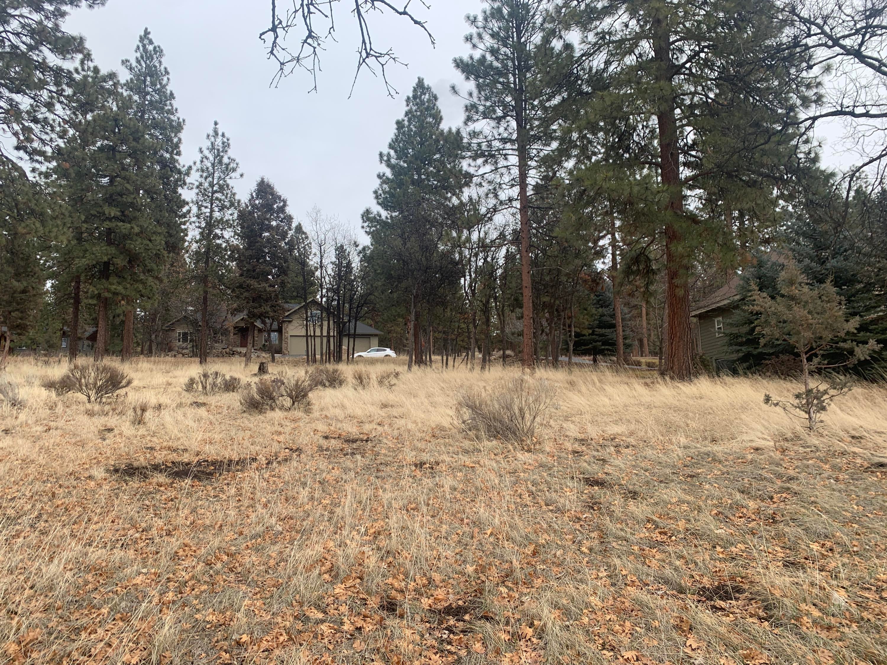 Lot 69 Merganser Road Klamath Falls, OR 97601 - Photo 15 of 20 IMG_9656