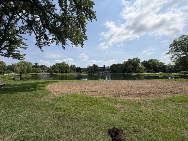 16 Falkirk Road Hawthorn Woods, IL 60047 - Photo 74 of 77