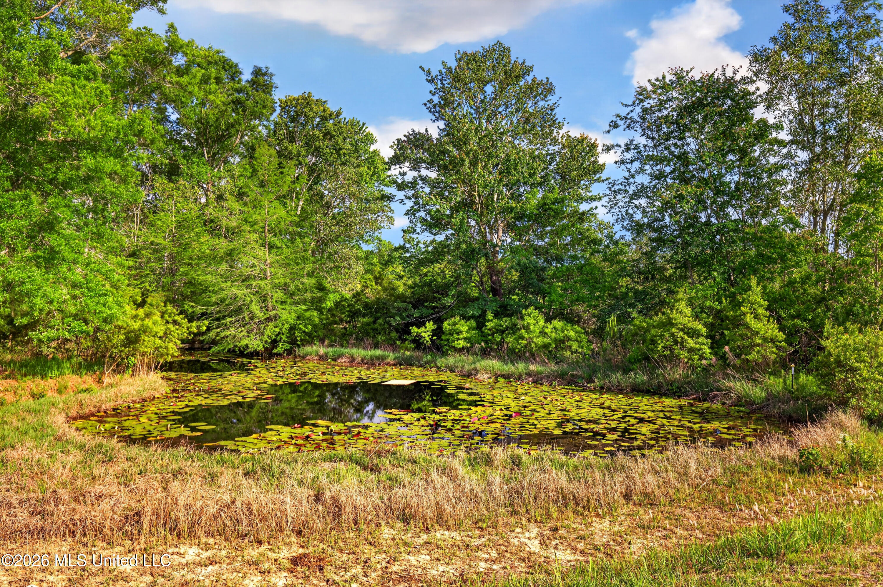 22181 Lorene Road Gulfport, MS 39503 - Photo 51 of 61 Pond