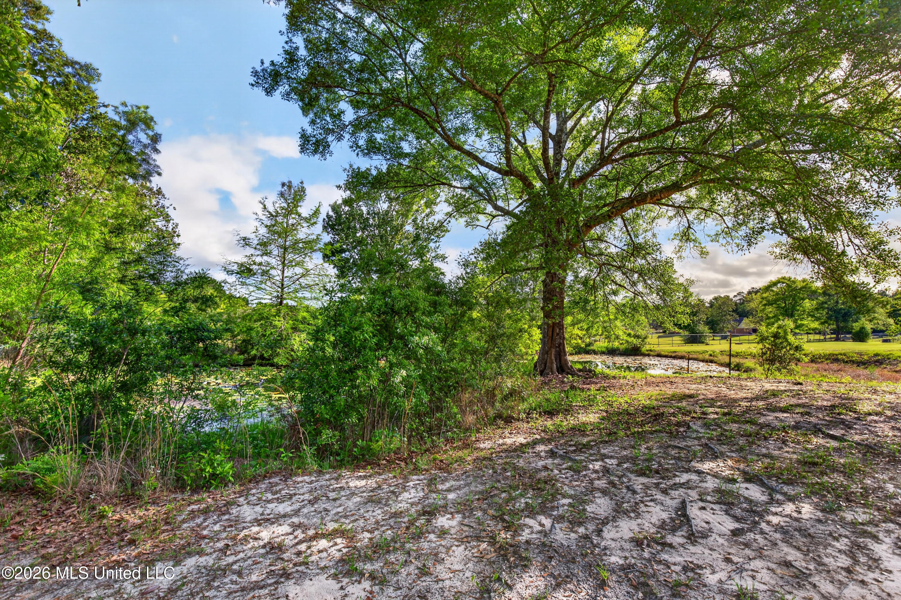 22181 Lorene Road Gulfport, MS 39503 - Photo 52 of 61 Pond area