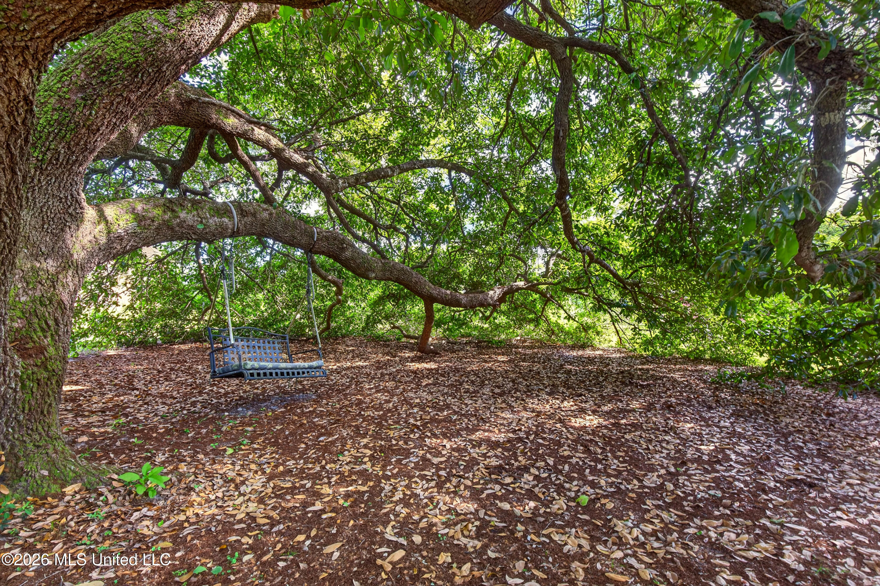 22181 Lorene Road Gulfport, MS 39503 - Photo 10 of 61 The swing under the oak