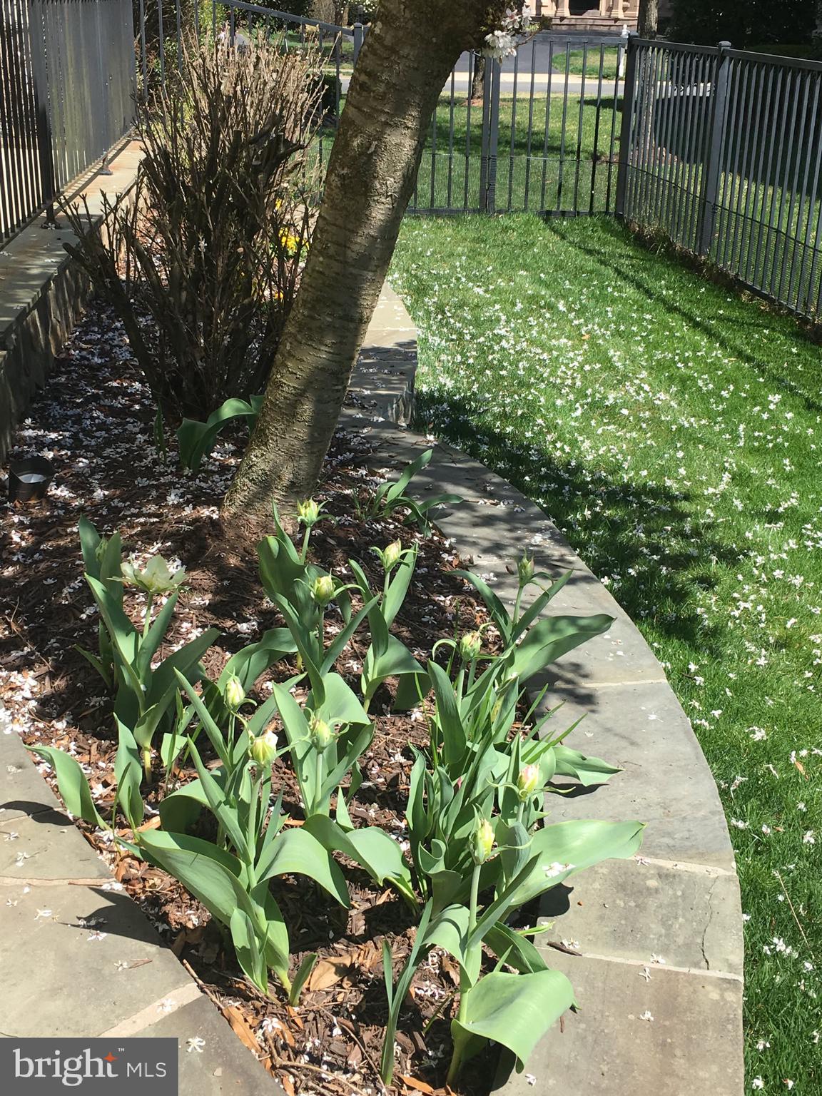 8268 Roxborough Loop Gainesville, VA 20155 - Photo 132 of 149