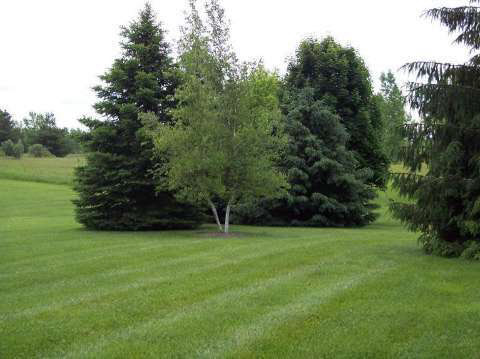 10095 Irish Road Goodrich, MI 48438 - Photo 34 of 70 20420762-33.JPG