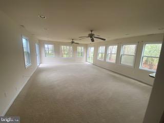 35562 Tingle Road Willards, MD 21874 - Photo 12 of 33