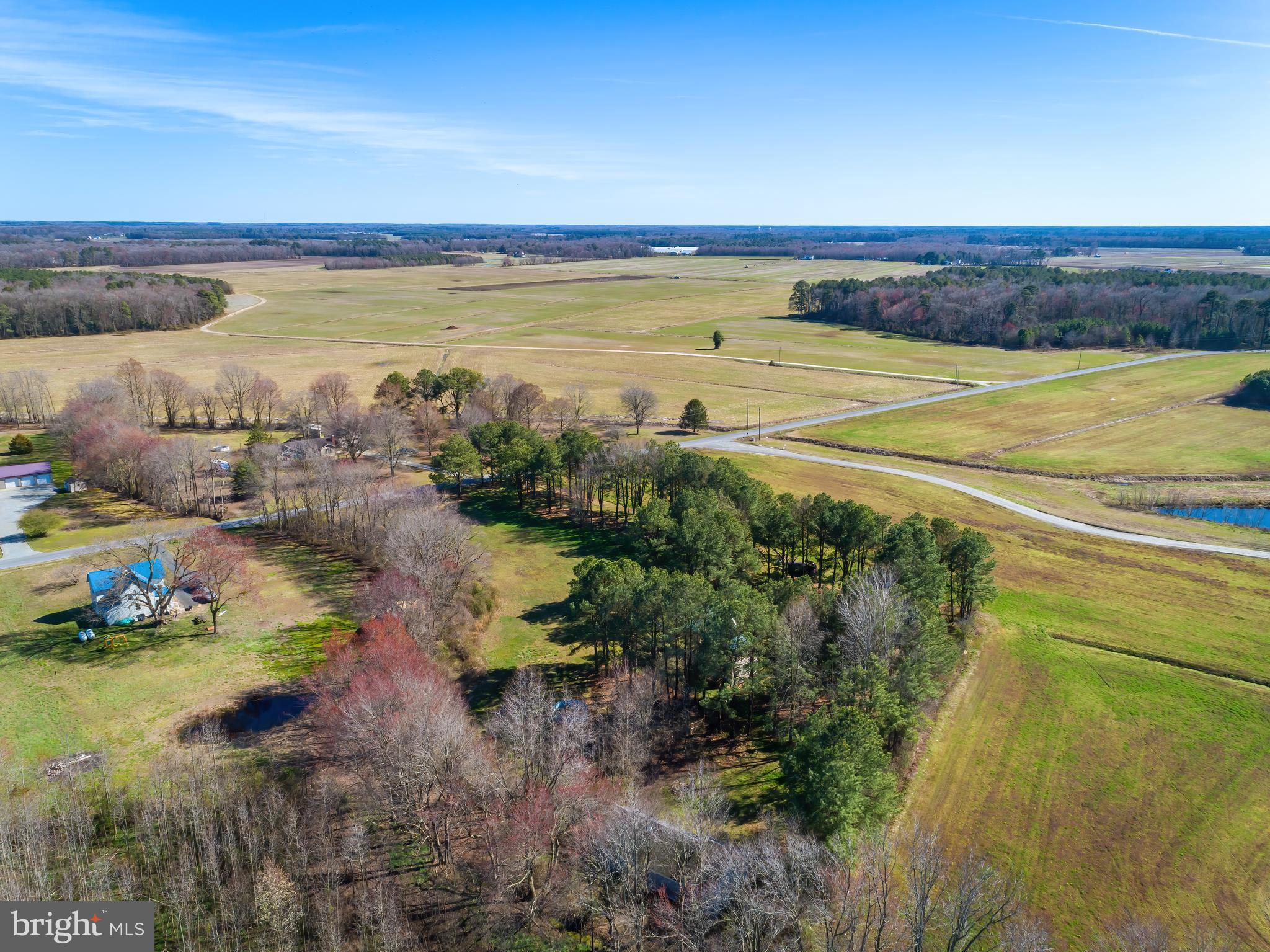 35562 Tingle Road Willards, MD 21874 - Photo 29 of 33