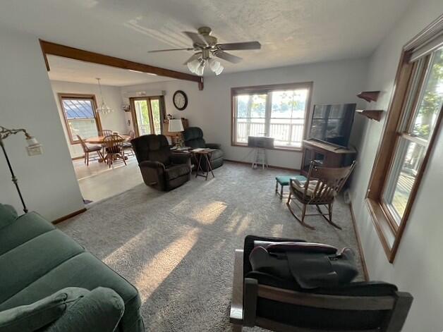 58310 East Clear Lake Road Three Rivers, MI 49093 - Photo 13 of 43 Living Room