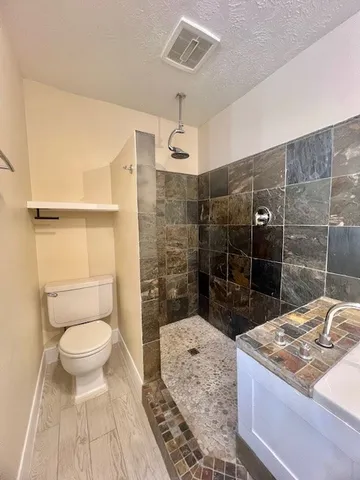 a bathroom with a sink a toilet and shower