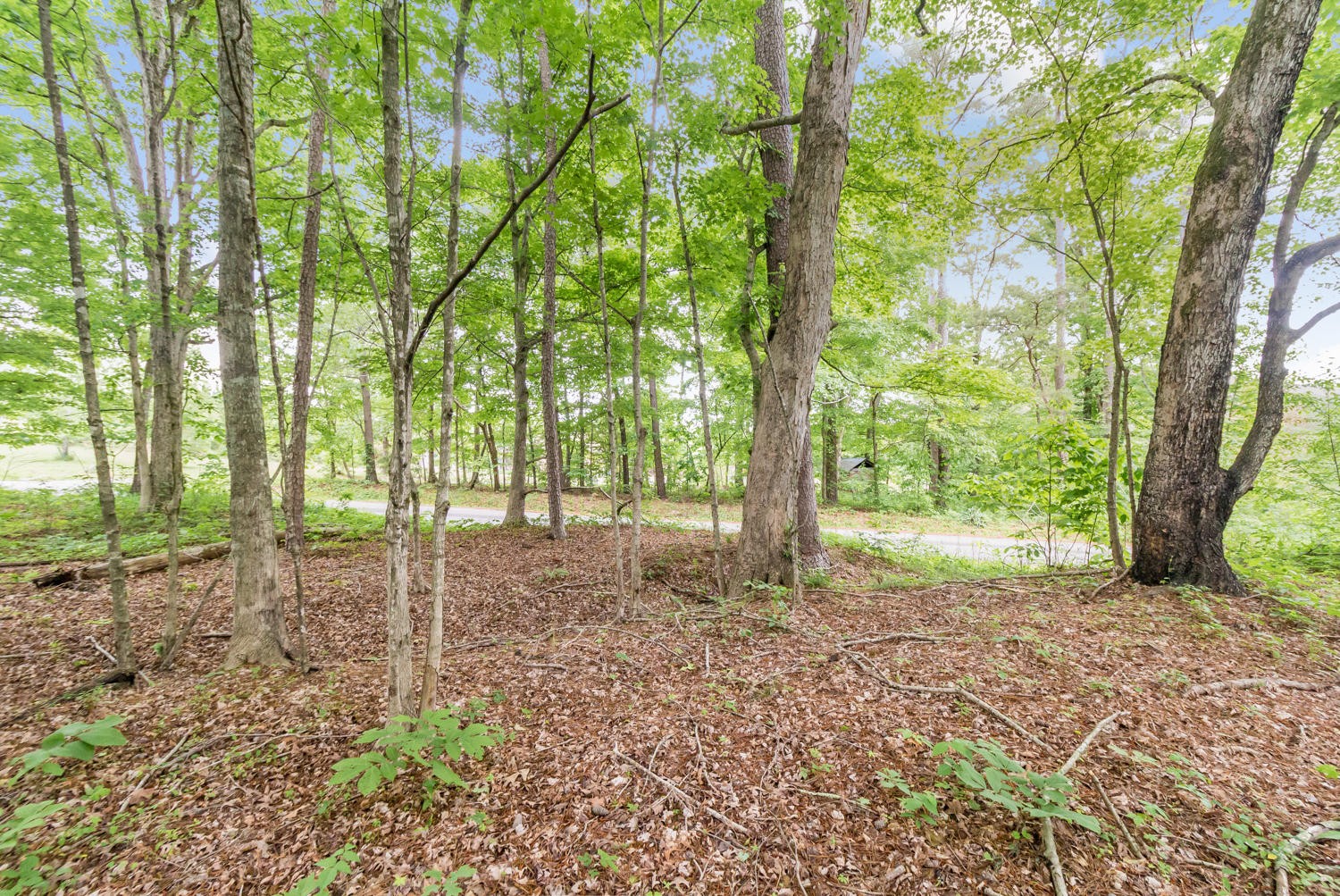 0 Howardsville Road Apison, TN 37302 - Photo 1 of 8 Gallery Image 1