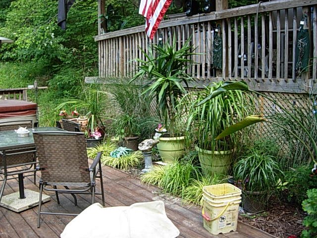10128 East Dobson Road Bloomfield, IN 47424 - Photo 18 of 36