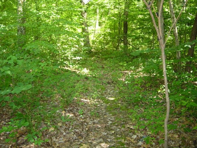 10128 East Dobson Road Bloomfield, IN 47424 - Photo 21 of 36