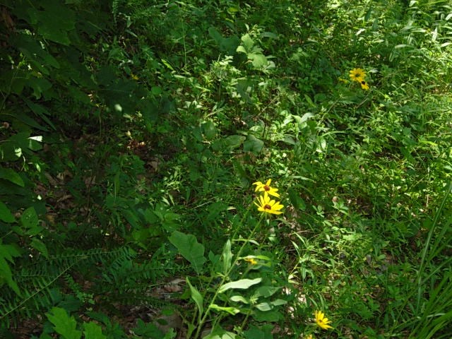 10128 East Dobson Road Bloomfield, IN 47424 - Photo 23 of 36