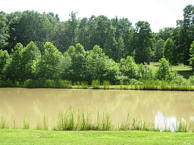 10128 East Dobson Road Bloomfield, IN 47424 - Photo 29 of 36