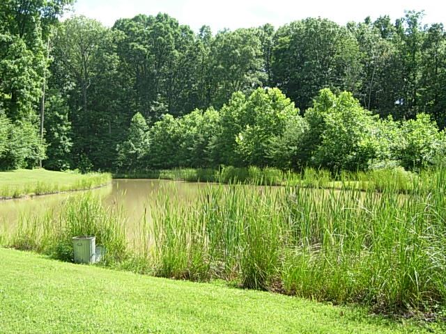 10128 East Dobson Road Bloomfield, IN 47424 - Photo 31 of 36
