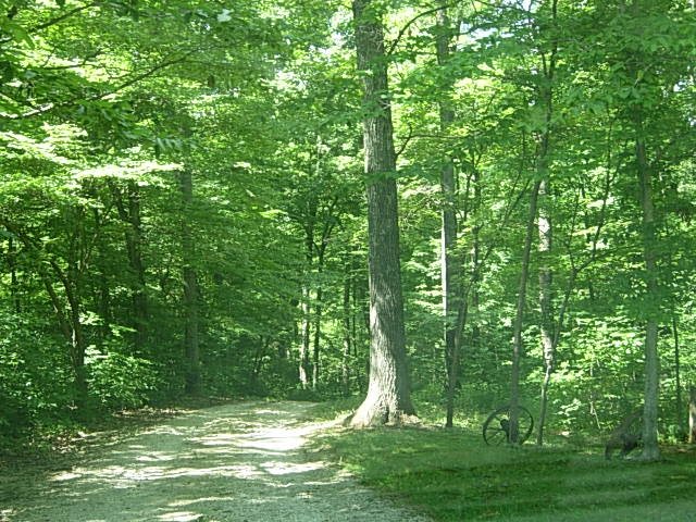 10128 East Dobson Road Bloomfield, IN 47424 - Photo 32 of 36