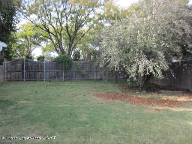 5202 Royce Drive Amarillo, TX 79110 - Photo 3 of 18 back yard