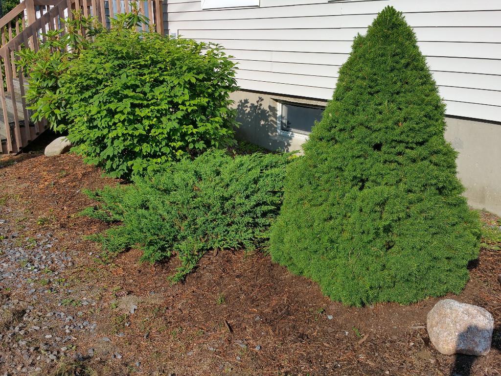 19 Murphy Road Boothbay, ME 04537 - Photo 8 of 30 Photo