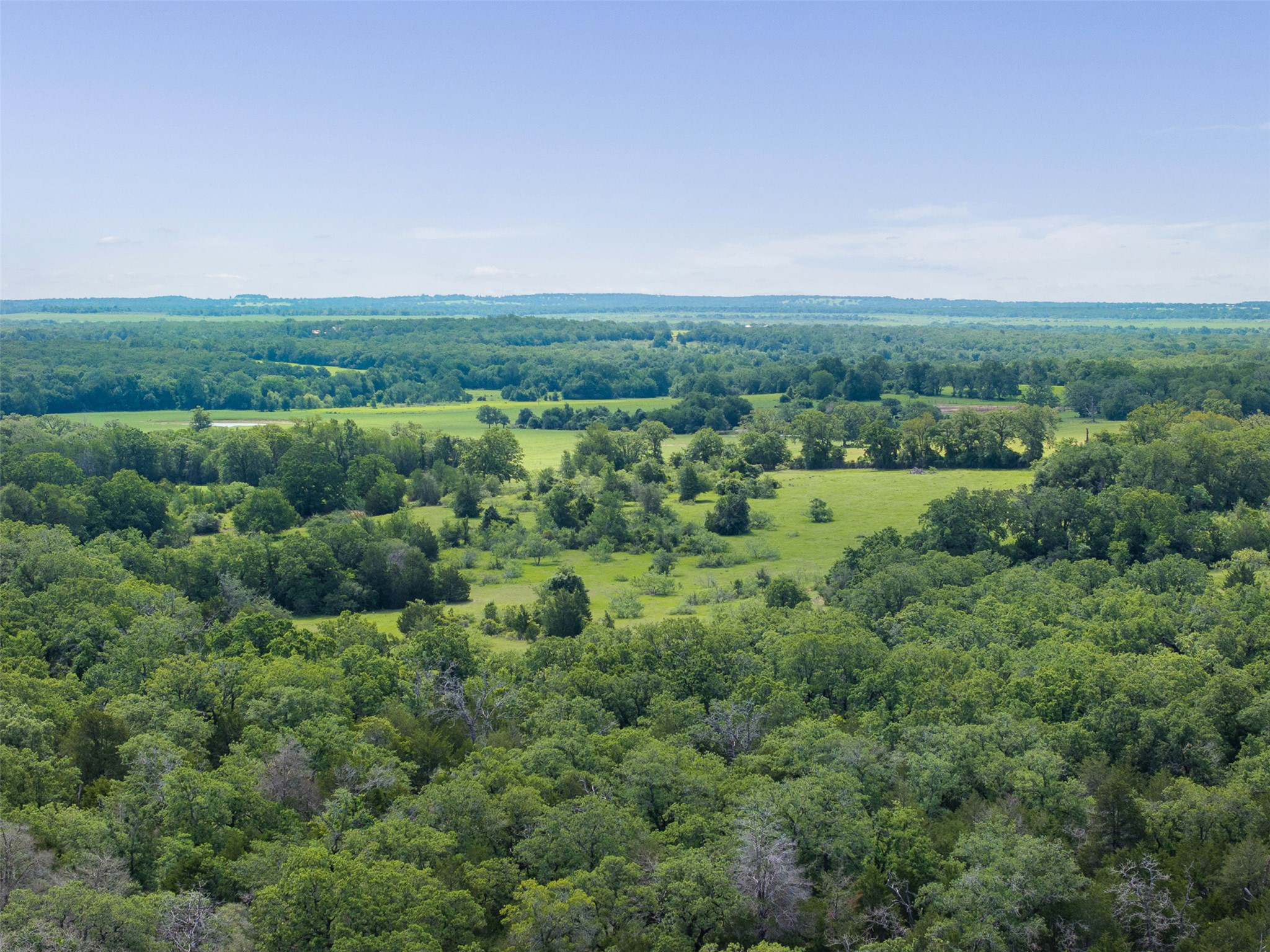 459 County Road 459 Road Thorndale, TX 76577 - Photo 35 of 35 a view of a green field with lots of bushes