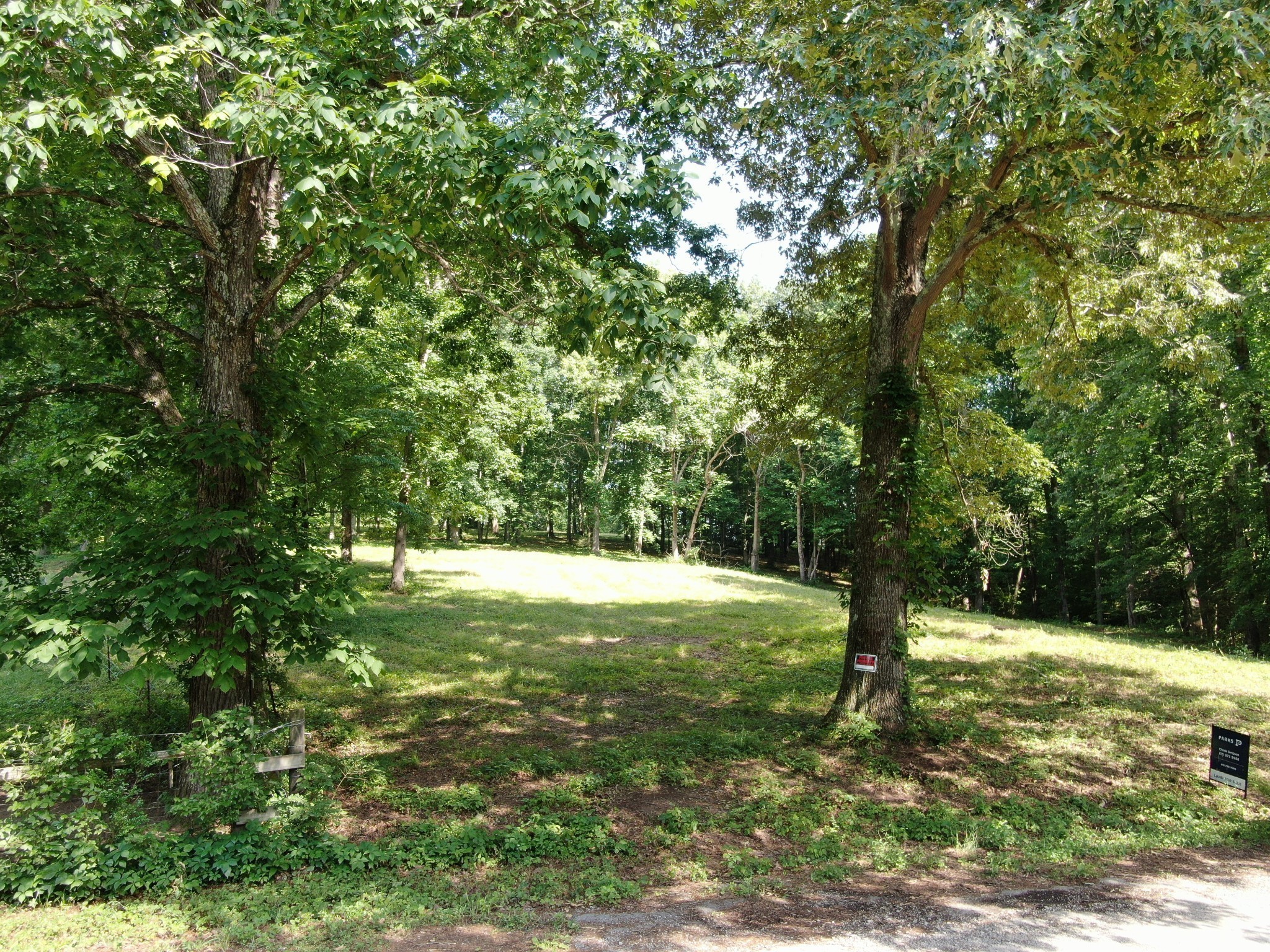 0 Smith Road Primm Springs, TN 38476 - Photo 22 of 57 a view of a tree with a yard