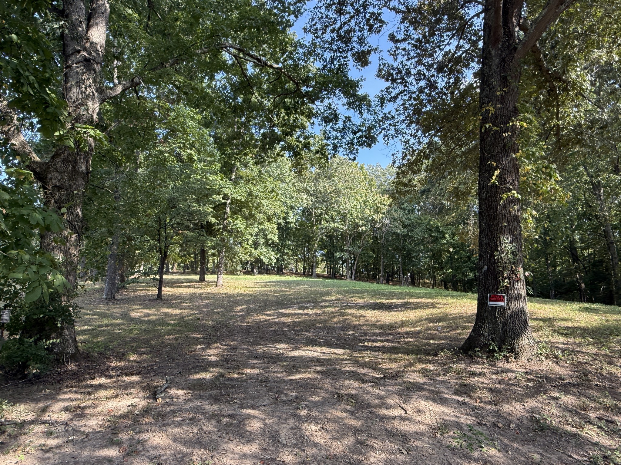 0 Smith Road Primm Springs, TN 38476 - Photo 54 of 57 a view of outdoor space with trees