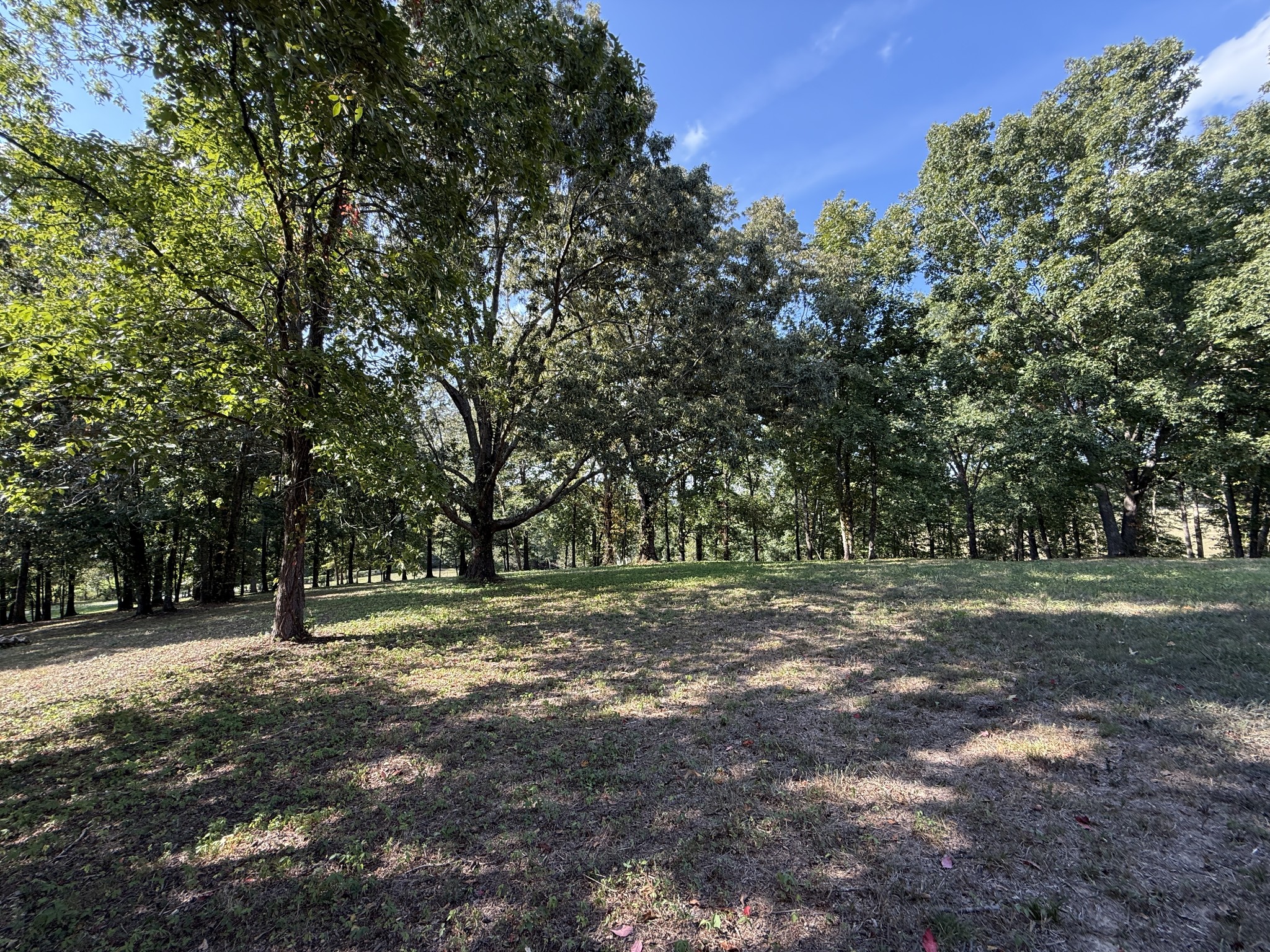 0 Smith Road Primm Springs, TN 38476 - Photo 8 of 57 a view of outdoor space with trees
